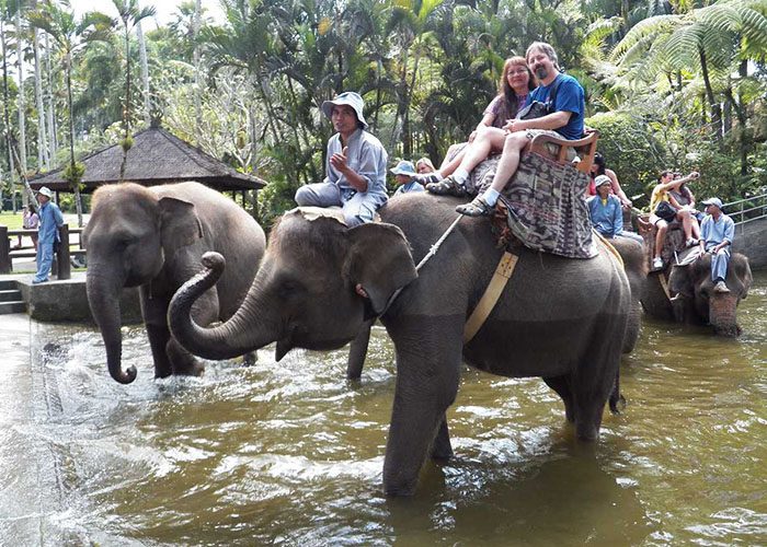 bali elephant ride